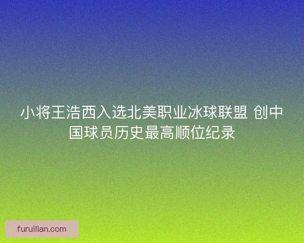 小将王浩西入选北美职业冰球联盟 创中国球员历史最高顺位纪录