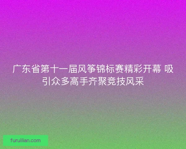 广东省第十一届风筝锦标赛精彩开幕 吸引众多高手齐聚竞技风采