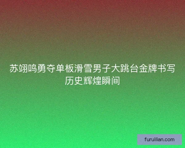 苏翊鸣勇夺单板滑雪男子大跳台金牌书写历史辉煌瞬间