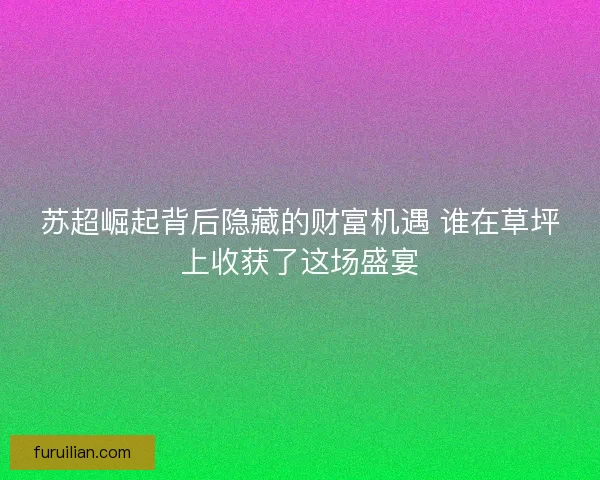 苏超崛起背后隐藏的财富机遇 谁在草坪上收获了这场盛宴